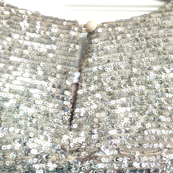 INMFL Alexandria silver sequin mini dress - Picture 11 of 12